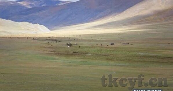 麻豆av-在社会光影下的多元探讨，麻豆与现代文化的一种特殊视角
